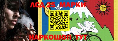 крисы Абакан