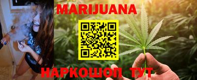 крисы Абакан