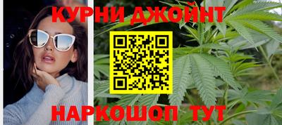 крисы Абакан