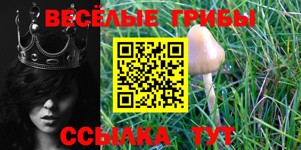 Псилоцибиновые грибы MAGIC MUSHROOMS Тайшет
