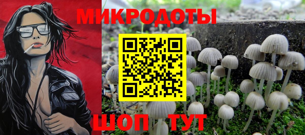 Тайшет  Псилоцибиновые грибы MAGIC MUSHROOMS  дарнет шоп  Галлюциногенные грибы мицелий  Вход с VPN 