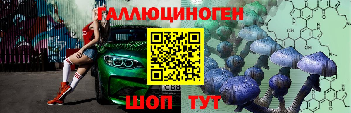 купить   Галлюциногенные грибы GOLDEN TEACHER  Тайшет  Псилоцибиновые грибы Psilocybe 